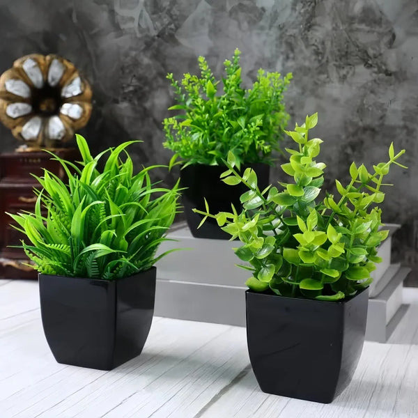 Evergreen Home Decor Branch Kit